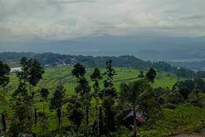 Batutumonga - Toraja