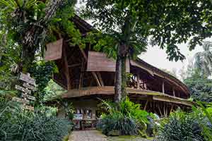 Ecolodge Bukit Lawang