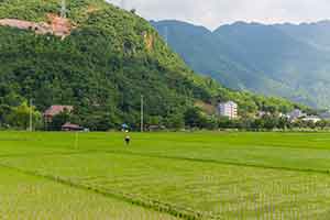 Mai Chau