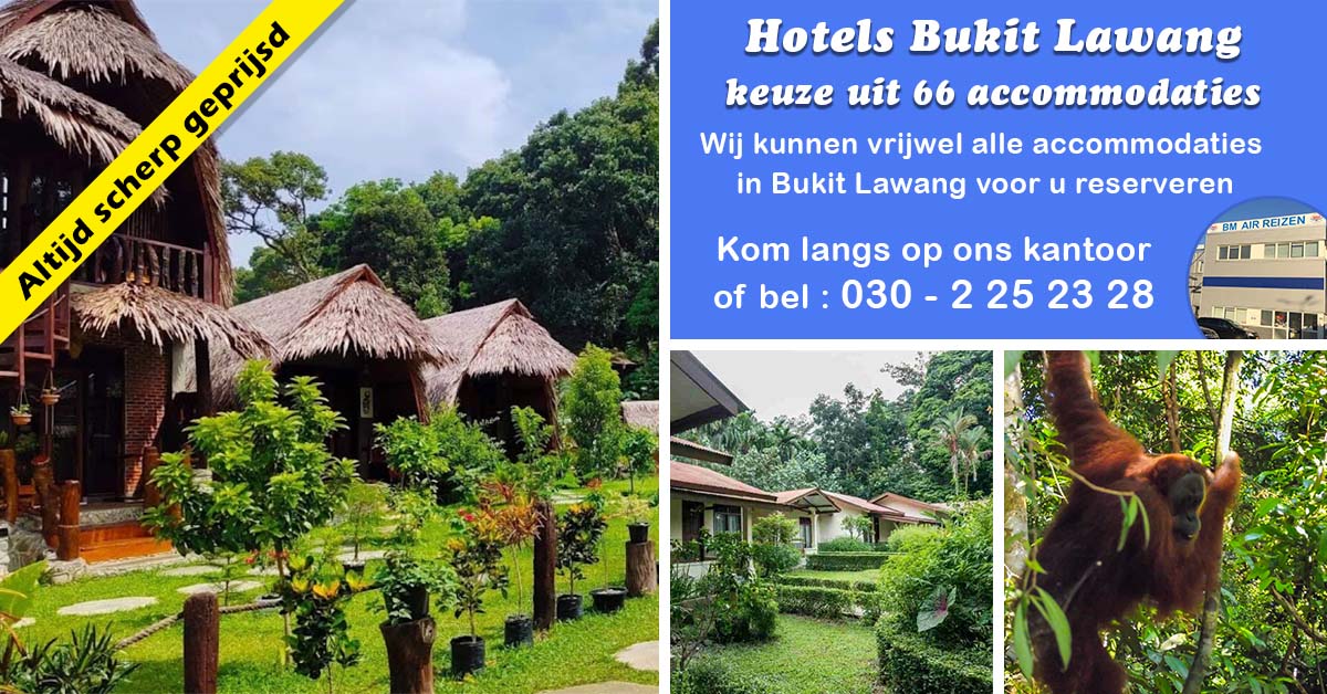 Hotels Bukit Lawang