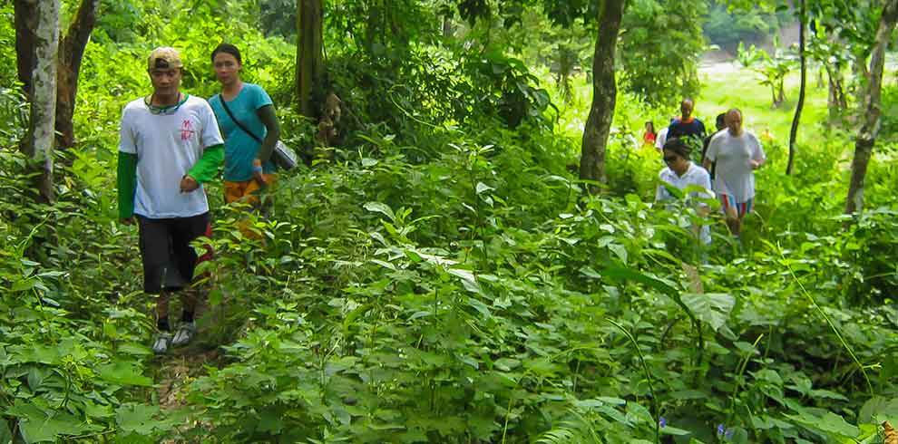 Leuser National Park