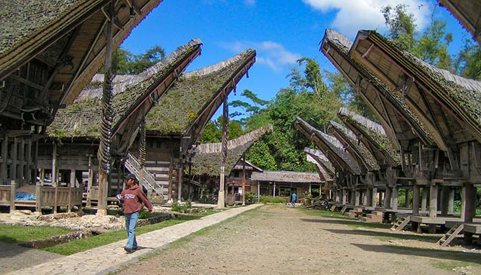 Sulawesi