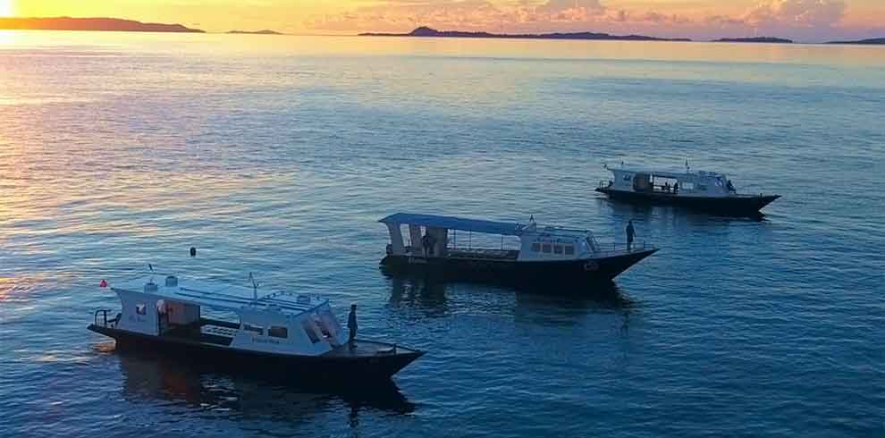 Murex Manado Dive Resort