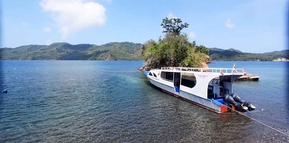 Cocotinos Lembeh Dive Lodge - Bitung