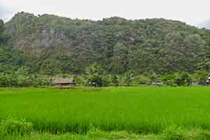 Rammang-Rammang - Sulawesi
