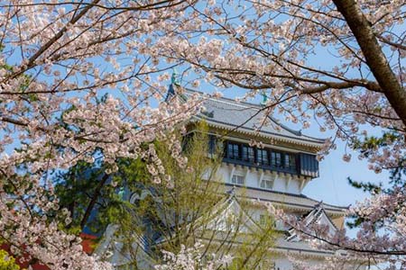 Fukuoka