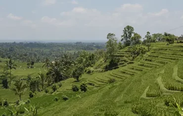 Beste reistijd Bali
