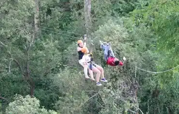 Jungle Thailand