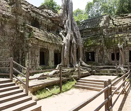 Ta Prohm Tempel