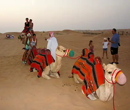Dubai Desert Safari