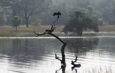 Regenseizoen Sri Lanka