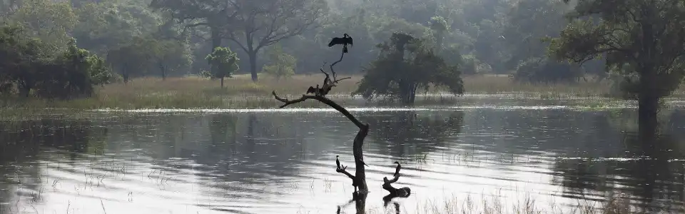 Regenseizoen Sri Lanka