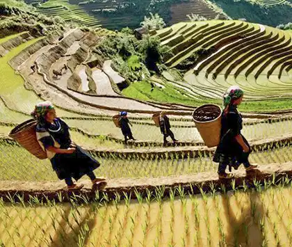 Sapa - Vietnam