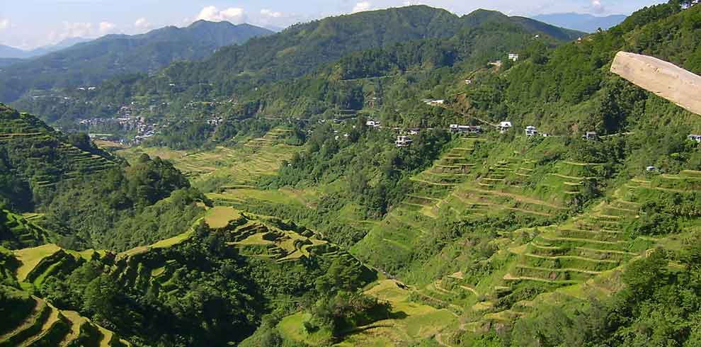 Banaue Rijstterrassen
