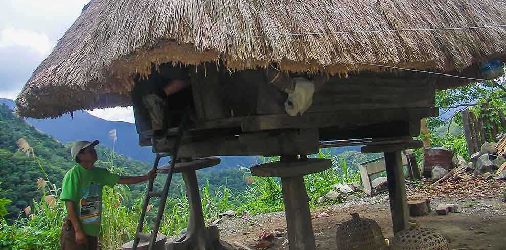 Ifugao - Luzon