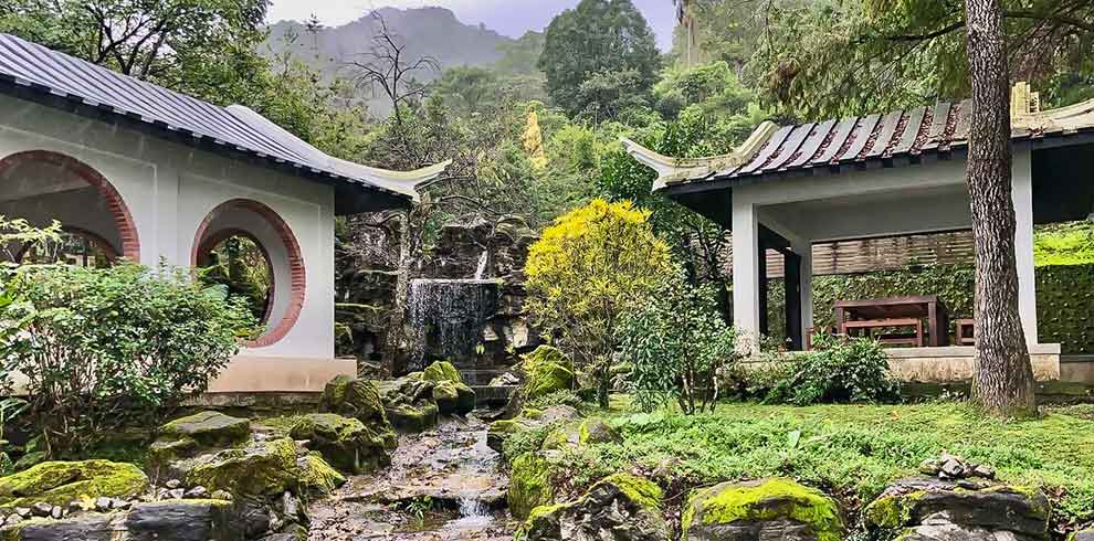Pinglin Tea Museum