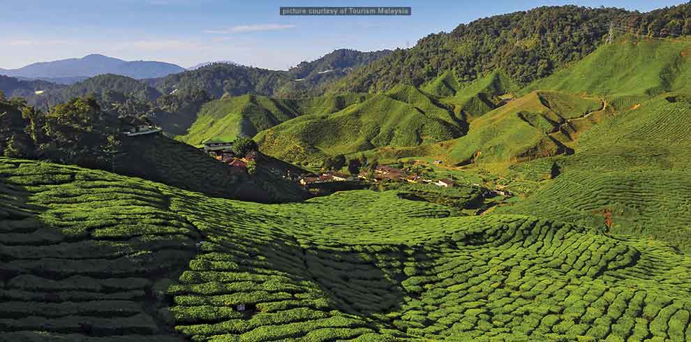 Cameron Highlands