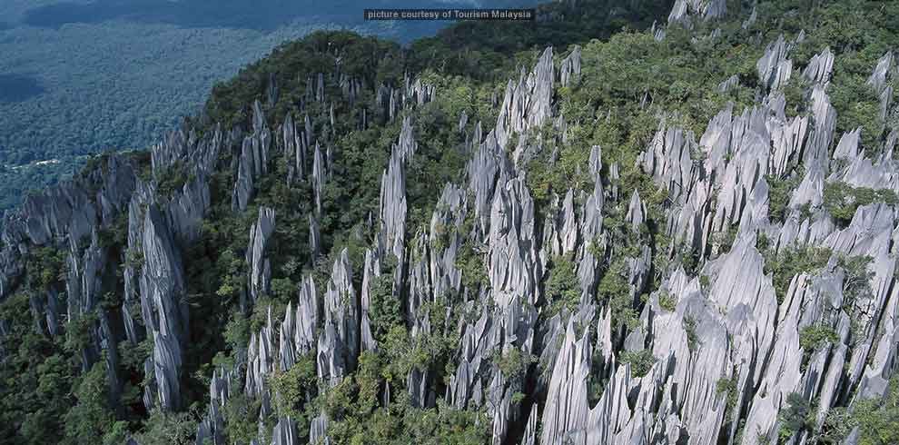 Mulu National Park