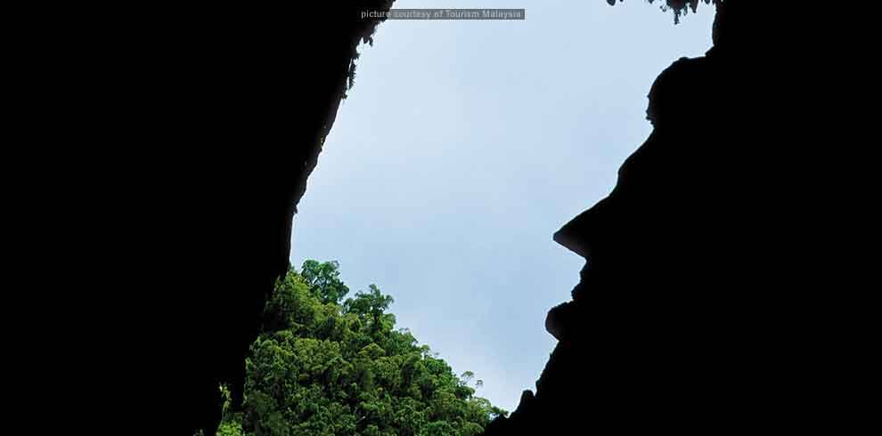 Mulu National Park