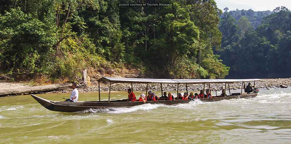 Taman Negara Jungle Experience