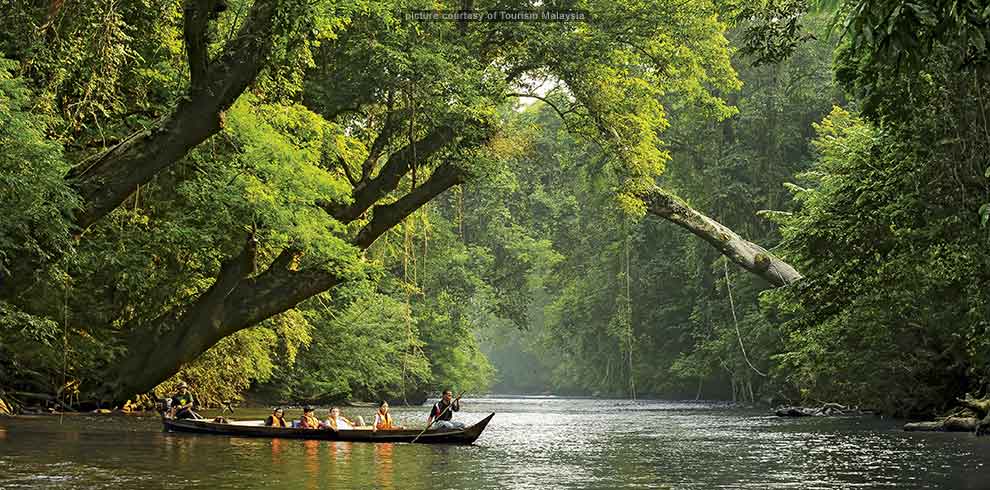 Taman Negara Jungle Experience