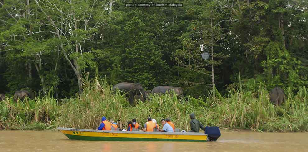 Wildlife Trail Sabah