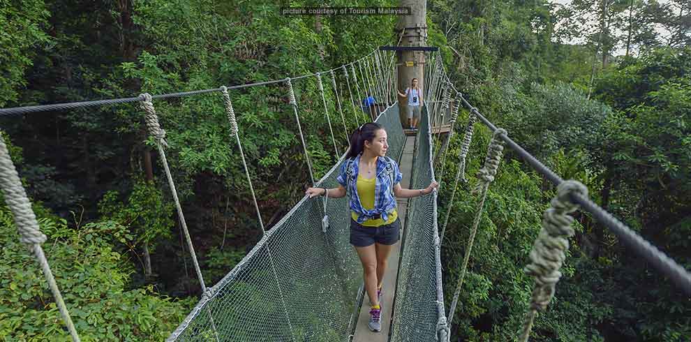 Wildlife Trail Sabah