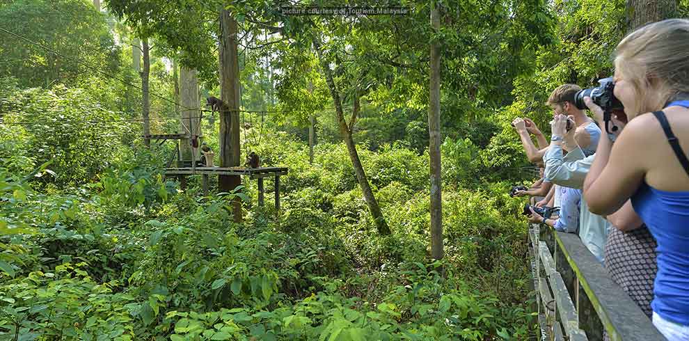 Wildlife Trail Sabah