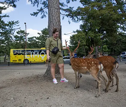 Nara Park