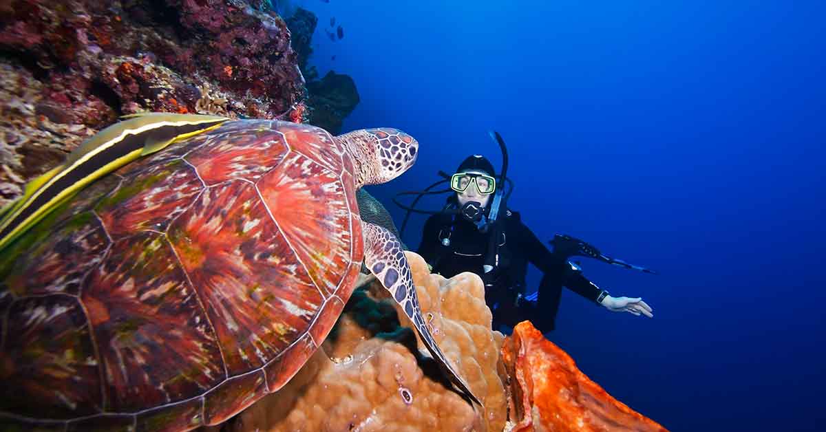 Bunaken