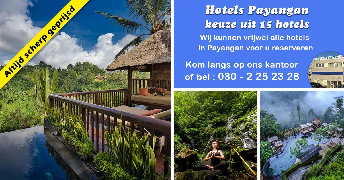 Hotels Payangan