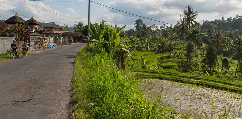 Munduk