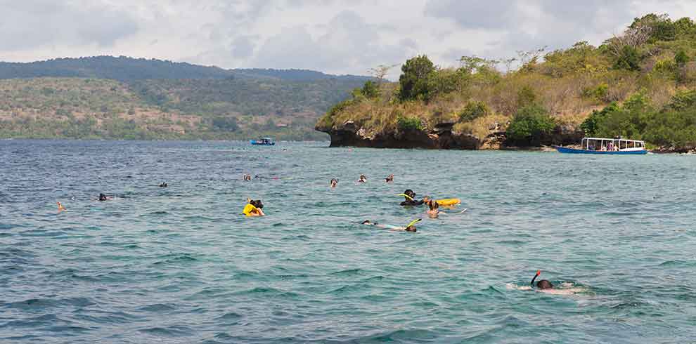 Snorkelen bij Menjangan Island