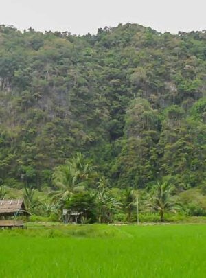 Rammang-Rammang