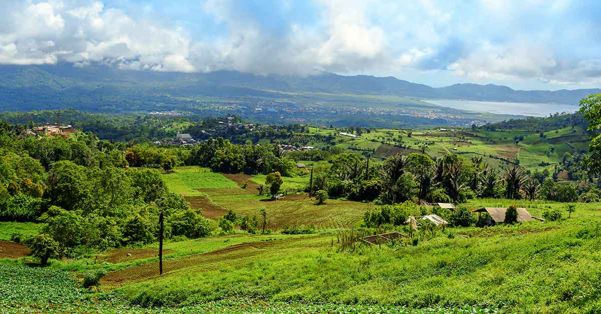 Tomohon