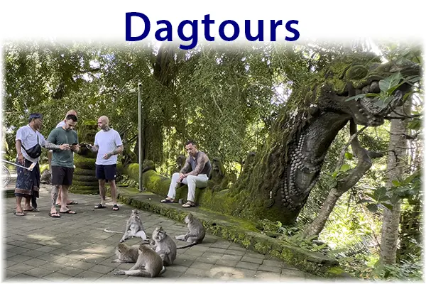 Ubud - Dagtours