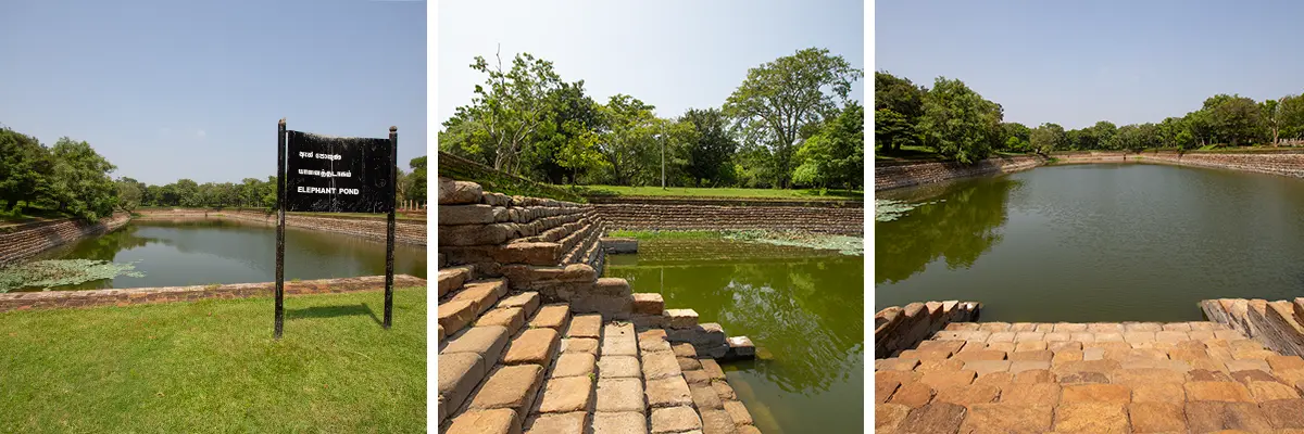 Elephant Pond - Anuradhapura