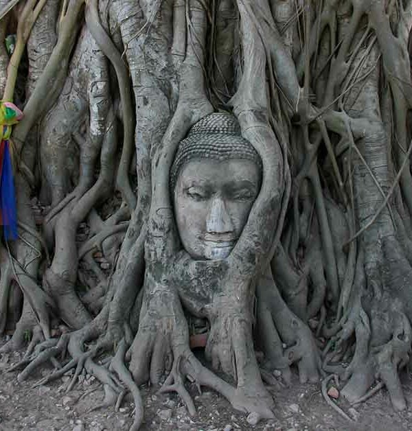 Ayutthaya