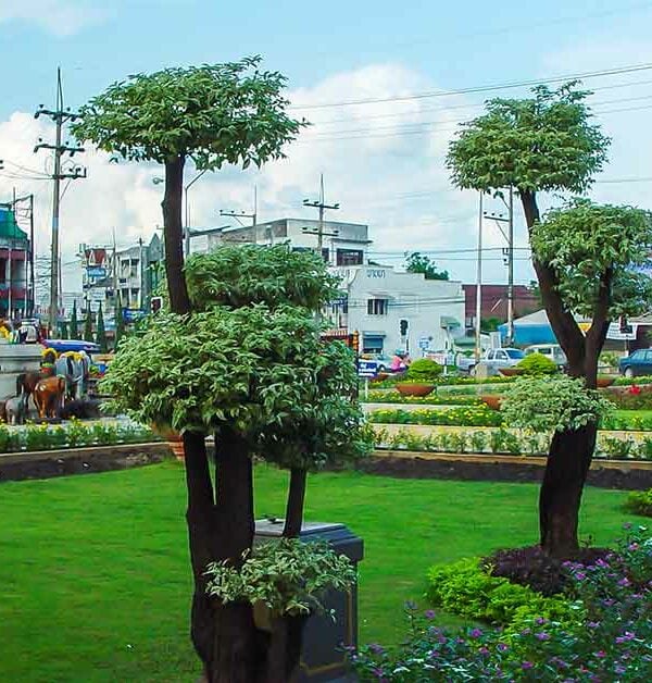 Chiang Rai