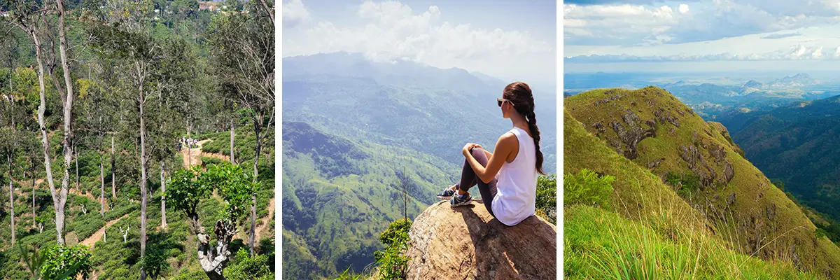 Ella Rock - Little Adam's Peak