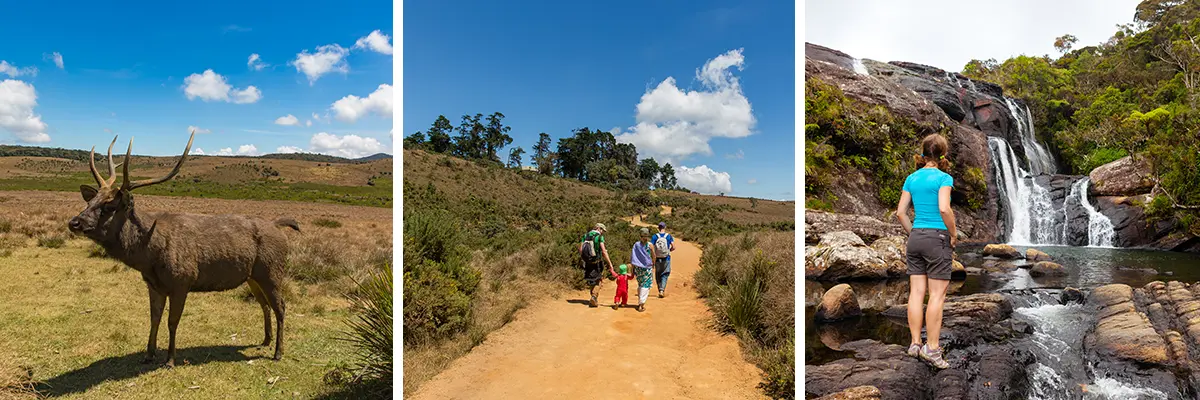 Horton Plains National Park