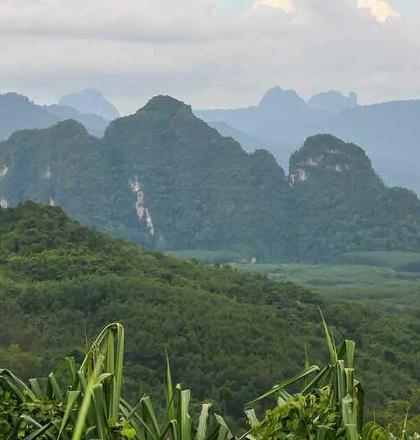 Khao Sok