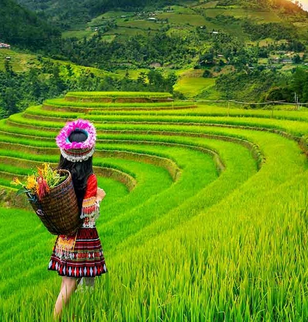 Sapa