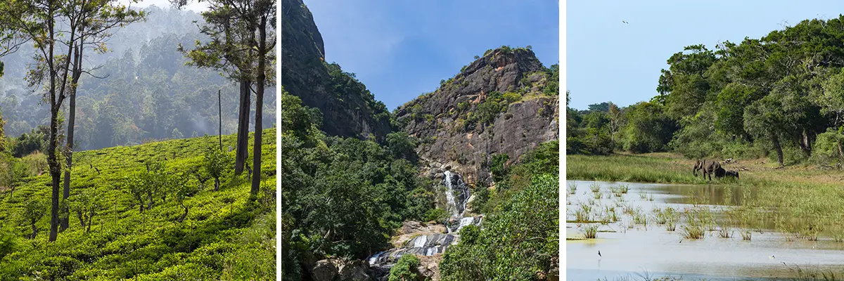 Natuur - Sri Lanka