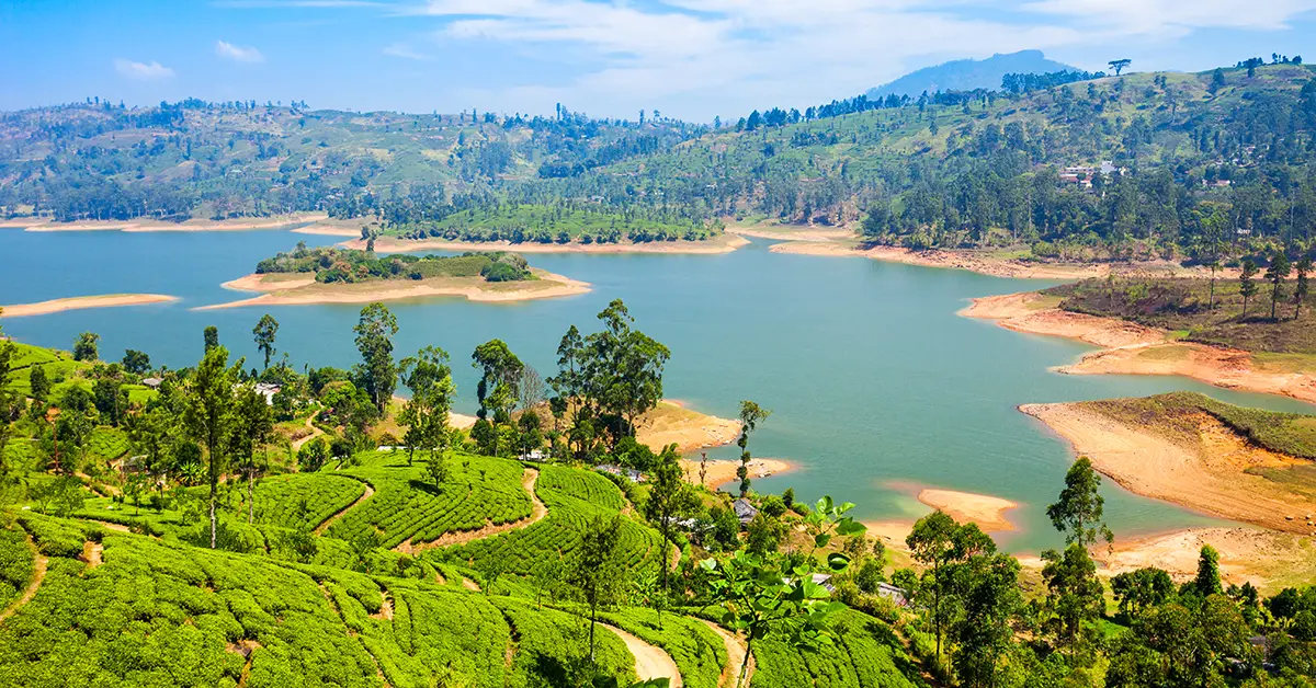 Theeplantage Nuwara Eliya