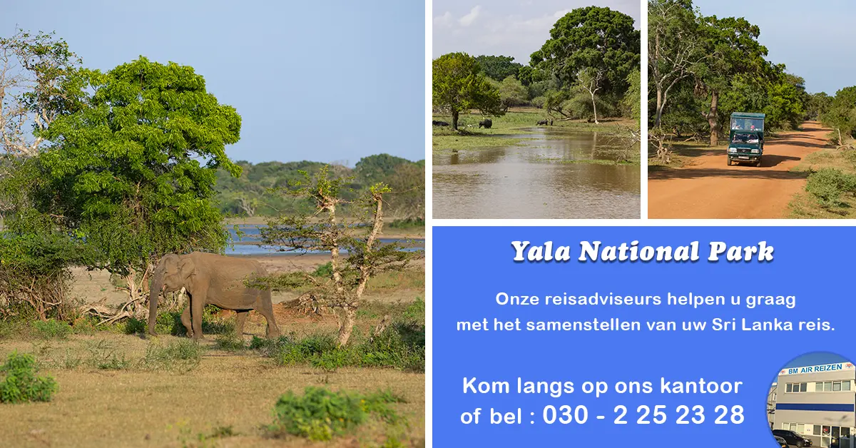 Yala National Park