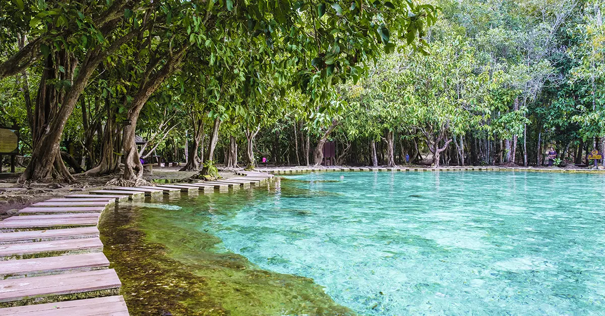Emerald Lake - Krabi