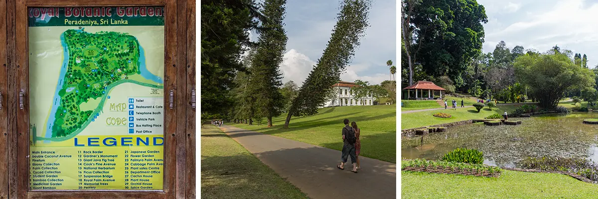 Peradeniya Botanische Tuin