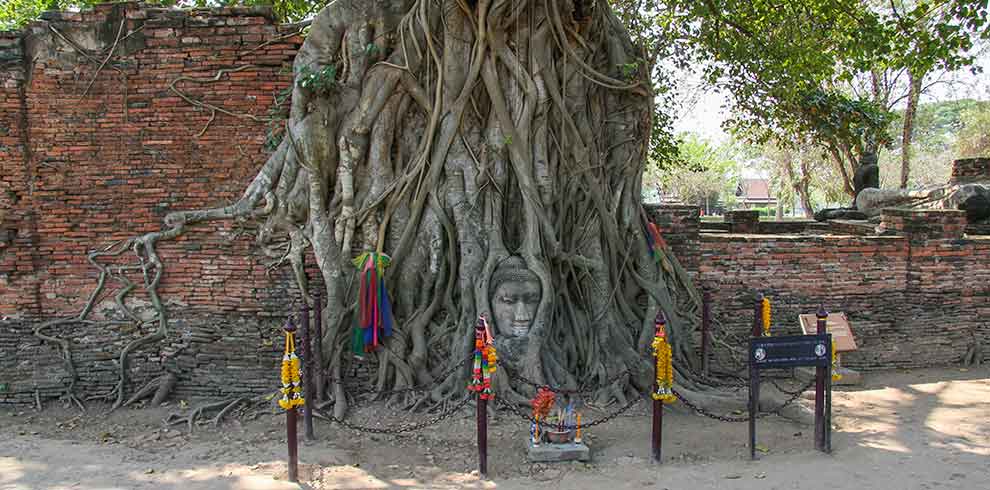 Wat Mahathat - Ayutthaya