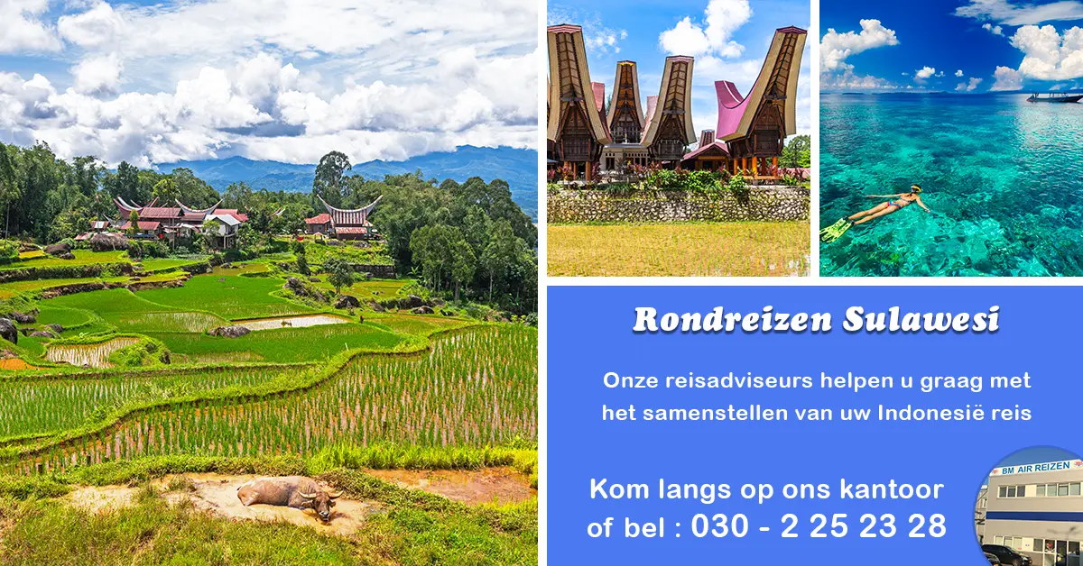 Rondreis Sulawesi